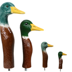 Collection image for: Ducks
