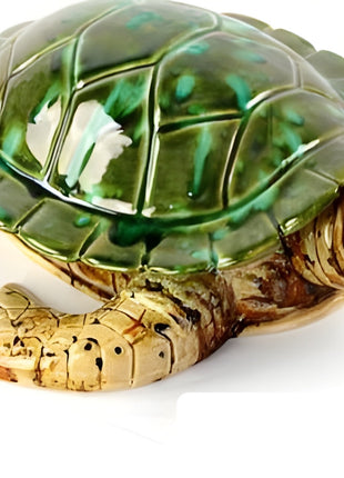 11" Turtle | 1/case