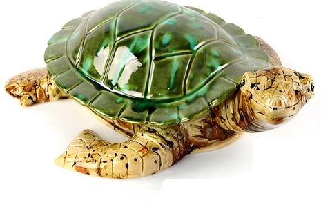 11" Turtle | 1/case