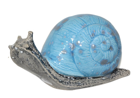 9" Round Shelled Snail | 1/case