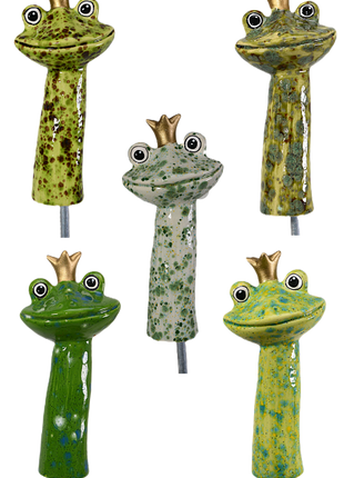 Frog Prince | 10/case