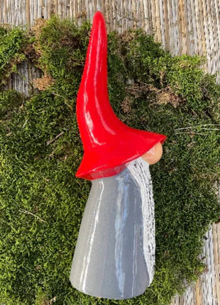 13" Gnomes with Pointed Hats | 2/case
