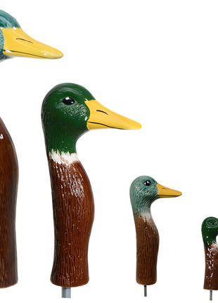 Mallard Ducks