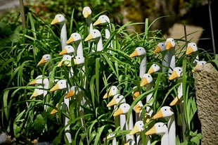 Garden Geese (Various Case Packs)