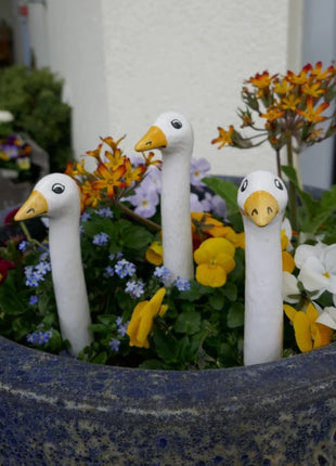 Garden Geese (Various Case Packs)