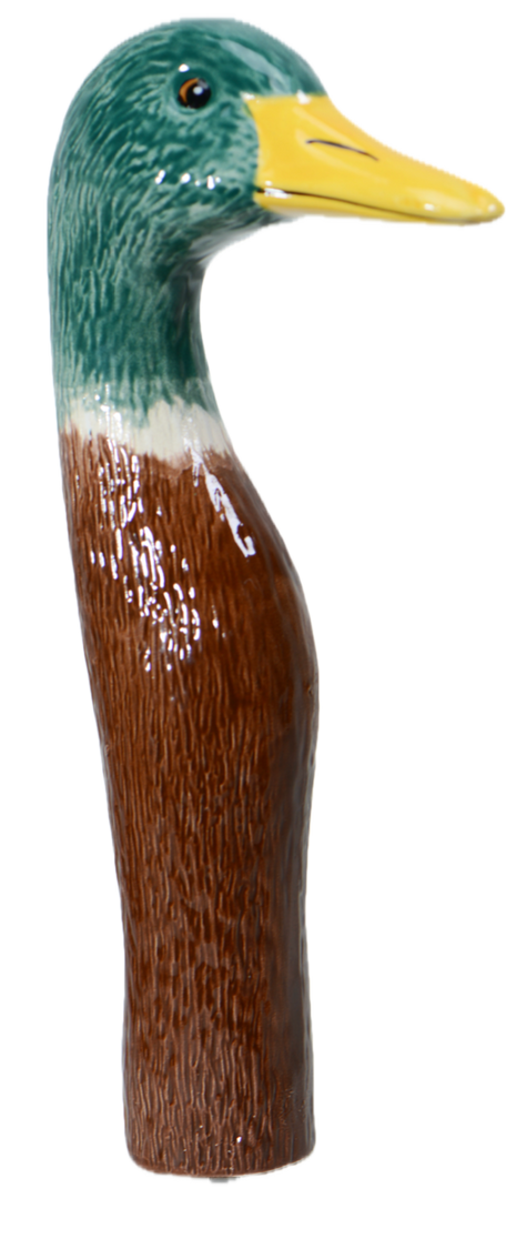 Mallard Ducks