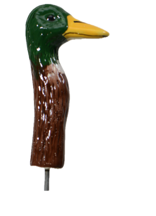 Mallard Ducks