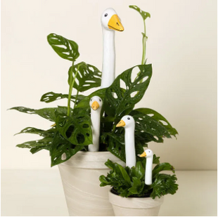Garden Geese (Various Case Packs)