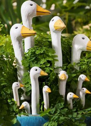 Garden Geese (Various Case Packs)
